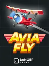 Avia Fly crash at BJ77 COM